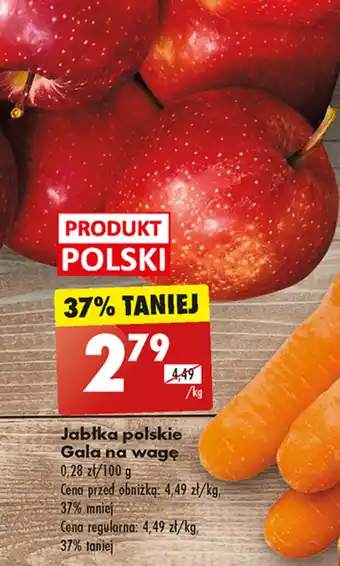 Biedronka Jabłka polskie Gala na wagę 1 kg oferta