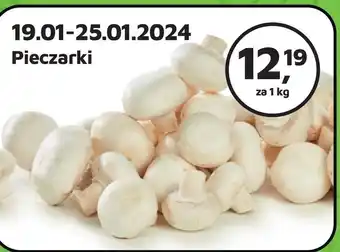 Odido Pieczarki oferta