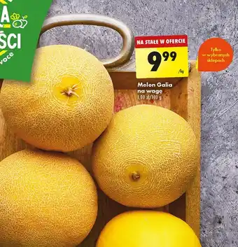 Biedronka Melon oferta