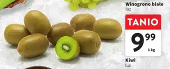 Intermarche Kiwi 1kg oferta