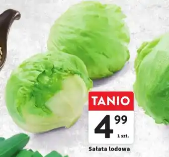 Intermarche Sałata lodowa 1 szt. oferta