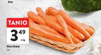 Intermarche Marchew 1 kg oferta
