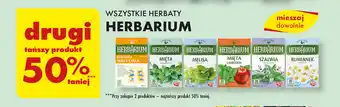 Biedronka WSZYSTKIE HERBATY HERBARIUM oferta
