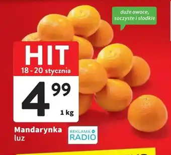Intermarche Mandarynka 1kg oferta