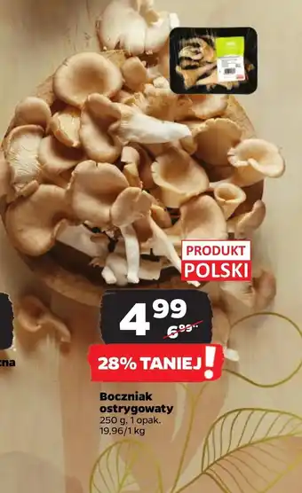 Netto Boczniak oferta