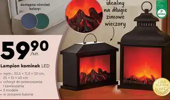 Biedronka Lampion laur oferta