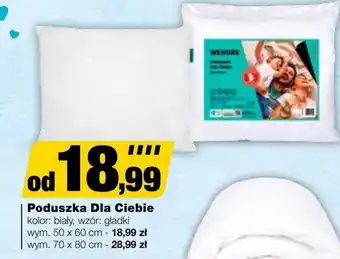 Bricomarche Poduszka oferta