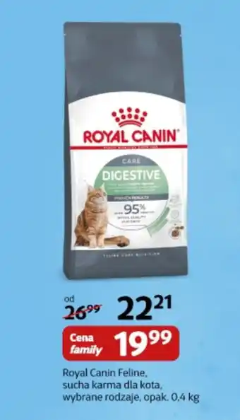 Kakadu Karma dla kota royal canin oferta