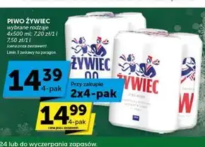 Groszek Żywiec piwo jasne 4 x 500 ml oferta