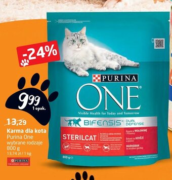 Intermarche Karma dla kota Purina One 800g oferta