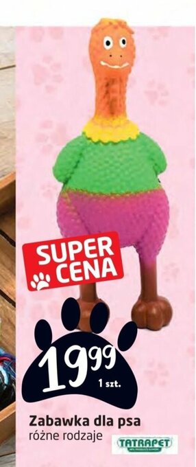 Intermarche Zabawka dla psa oferta