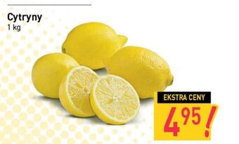 Stokrotka Cytryny 1kg oferta