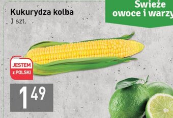 Stokrotka Kukurydza kolba 1szt. oferta