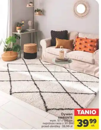 Dywan AMBIENTE 57x120cm
