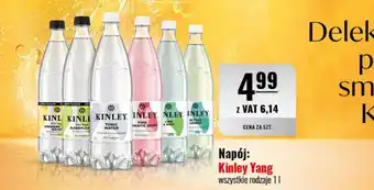 Eurocash Kinley Yang 1 l oferta