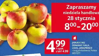 Selgros Jabłka gala oferta