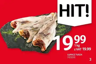 Selgros Łupacz oferta