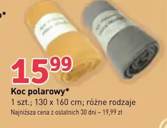 Stokrotka Market Koc oferta