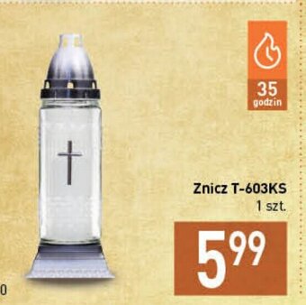 Stokrotka Znicz T-603KS oferta