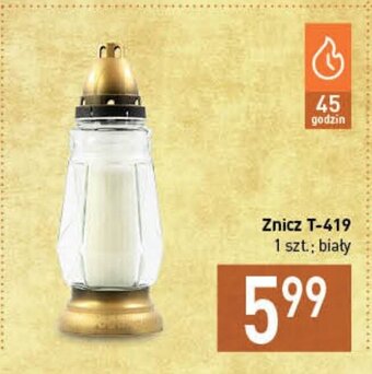 Stokrotka Znicz T-419 oferta