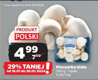 Netto Pieczarka biała 500 g oferta