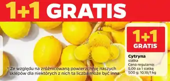 Netto Cytryna siatka oferta