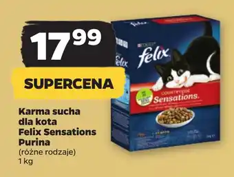 Netto Karma sucha dla kota Felix Sensations Purina 1 kg oferta