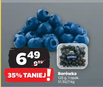Netto Borówka oferta