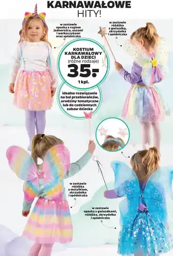 Netto Kostium karnawałowy dla dzieci oferta
