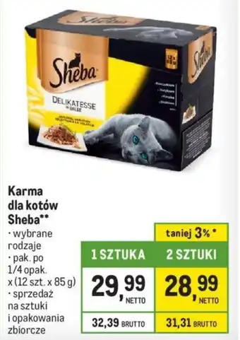 Makro Karma dla kotów Sheba oferta