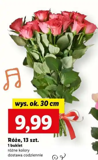 Lidl Róże, 13 szt. oferta