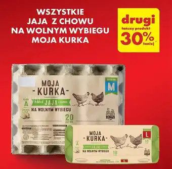 Biedronka WSZYSTKIE JAJA Z CHOWU NA WOLNYM WYBIEGU MOJA KURKA oferta