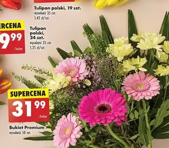 Biedronka Bukiet Premium oferta