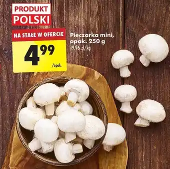 Biedronka Pieczarka mini, 250 g oferta