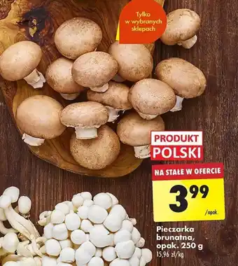 Biedronka Pieczarka brunatna, 250 g oferta