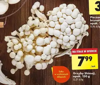 Biedronka Grzyby Shimeji, 150 g oferta