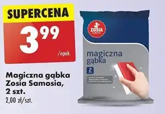 Biedronka Magiczna gąbka Zosia Samosia, 2 szt. oferta