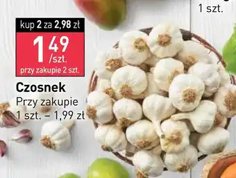 Stokrotka Czosnek oferta