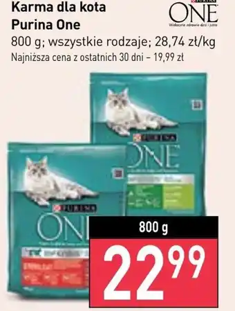 Stokrotka Karma dla kota purina one oferta