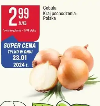 Społem Cebula oferta