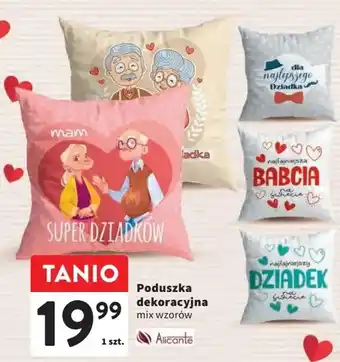 Intermarche Poduszka dekoracyjna oferta