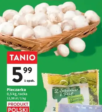 Intermarche Pieczarka 0,5 kg oferta