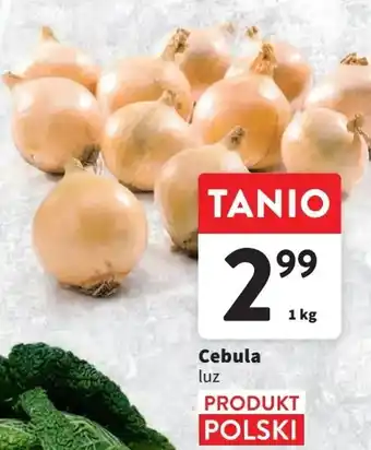 Intermarche Cebula 1 kg oferta