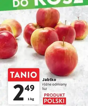 Intermarche Jabłko 1kg oferta