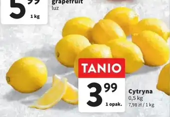 Intermarche Cytryna 0,5 kg oferta