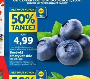 Lidl Borówki amerykańskie oferta