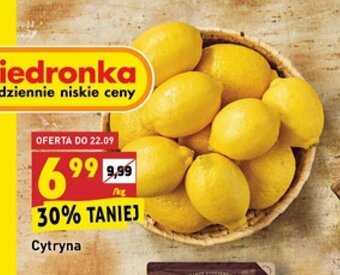 Biedronka Cytryna 1kg oferta