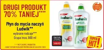 Polomarket Płyn do mycia naczyń Ludwik 900 ml oferta