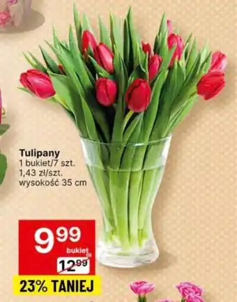 Delikatesy Centrum Tulipany 1 bukiet/7 szt. oferta