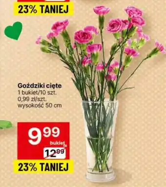 Delikatesy Centrum Goździki cięte 1 bukiet/10 szt. oferta